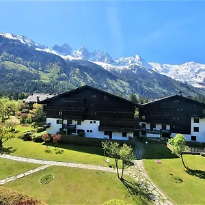 Superbe Vue Mont Blanc Chamonix